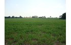 Property photo 20 - 160 Acres Offered in 6 Tracts